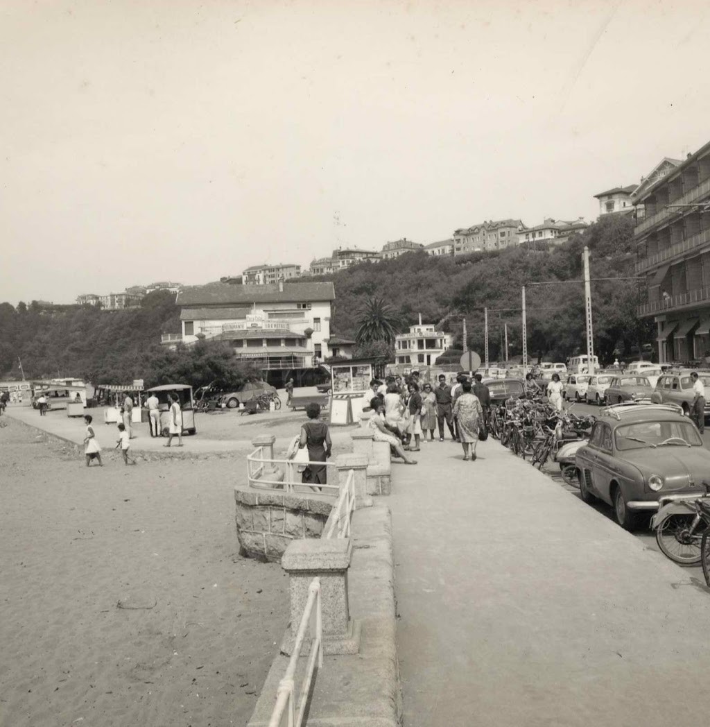 Tamarises, un pedazo de historia en la playa de Ereaga