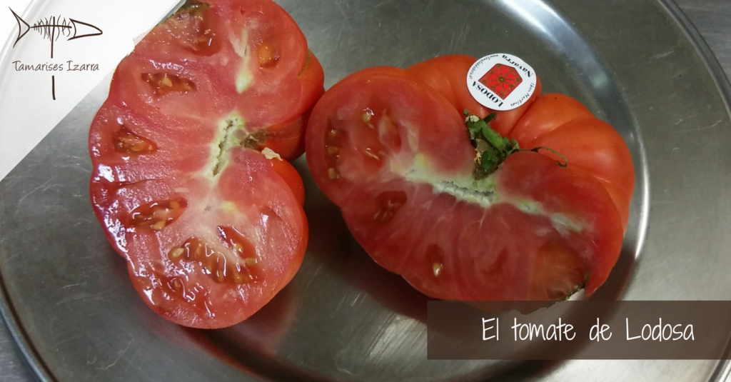 El tomate de Lodosa