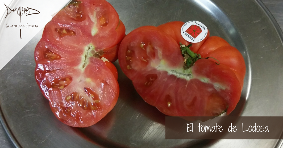 El tomate de Lodosa