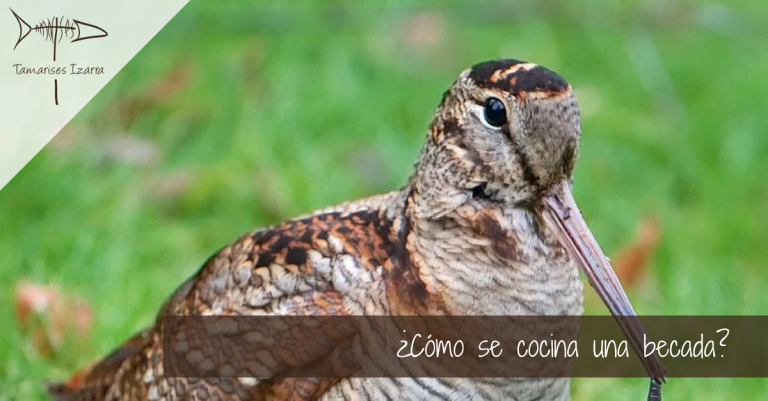 ¿Cómo se cocina una becada?