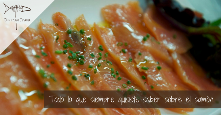 Todo lo que siempre quisiste saber sobre el samón