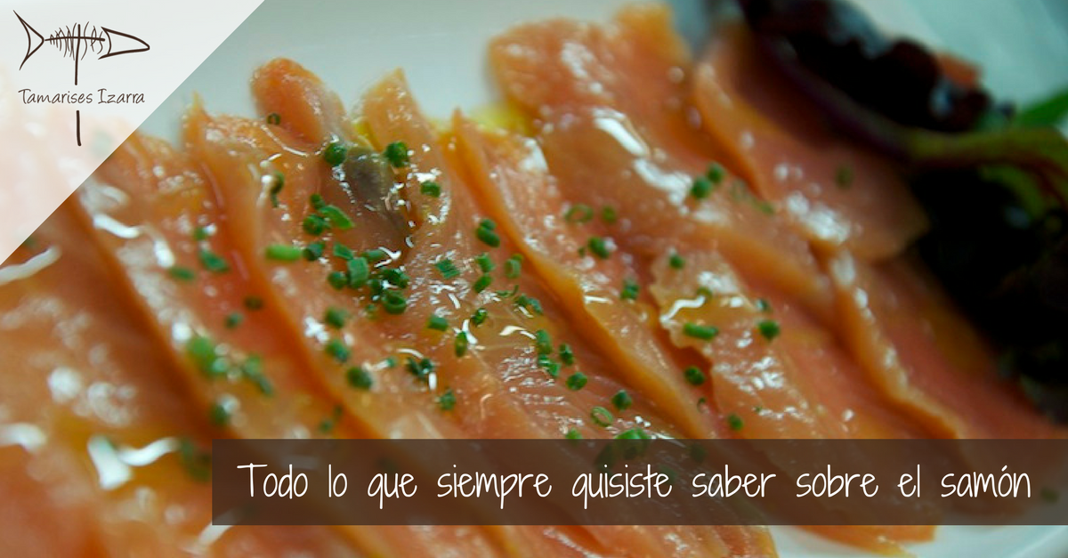 Todo lo que siempre quisiste saber sobre el samón