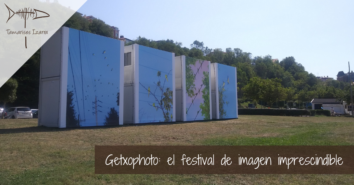 Getxophoto: el festival de imagen imprescindible